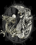 pic for Dragon & Tiger